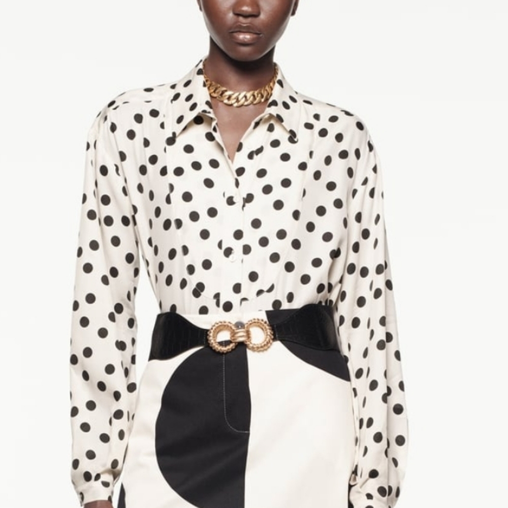 Zara blouse limited edition